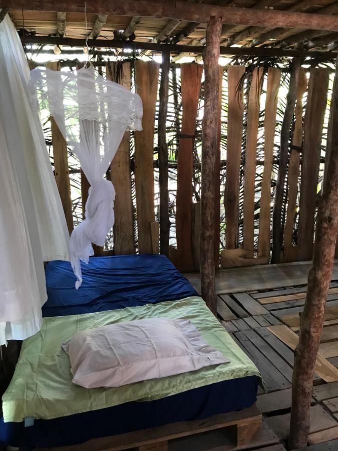 Miguel Surf Camp Hotel Quepos Ngoại thất bức ảnh