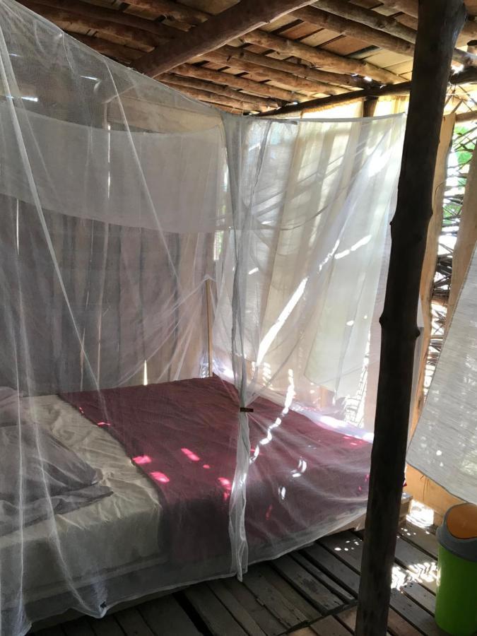 Miguel Surf Camp Hotel Quepos Ngoại thất bức ảnh