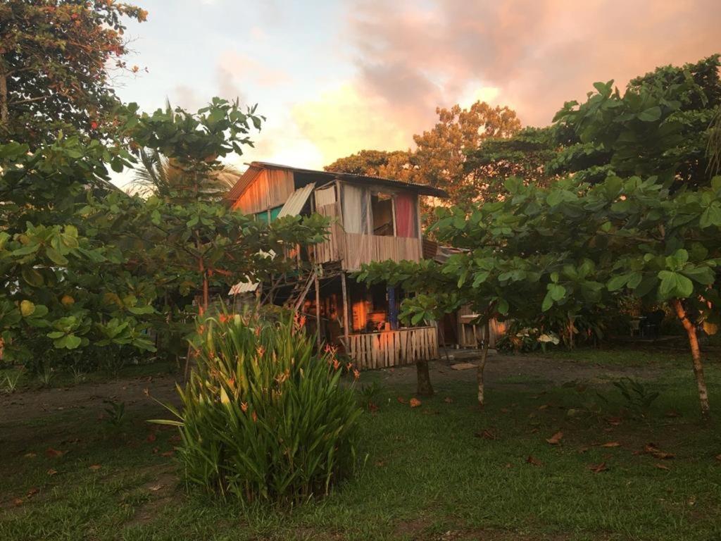 Miguel Surf Camp Hotel Quepos Ngoại thất bức ảnh