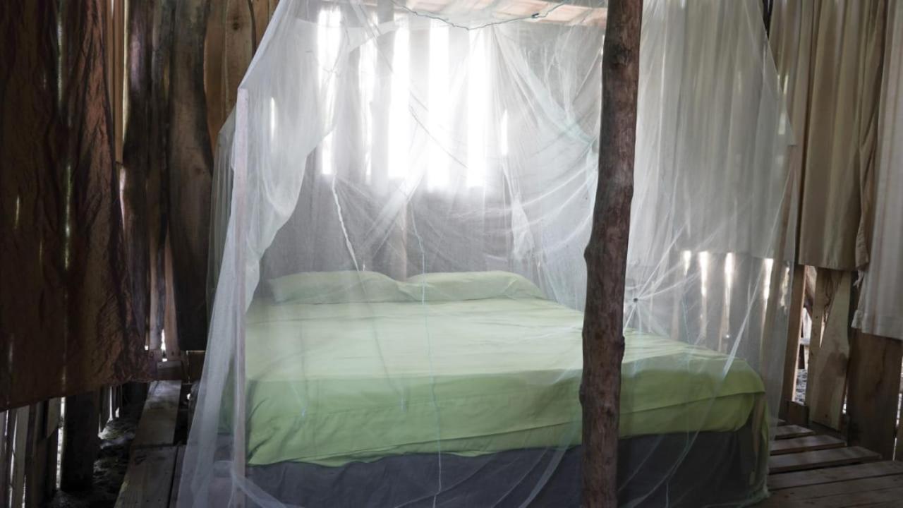Miguel Surf Camp Hotel Quepos Ngoại thất bức ảnh