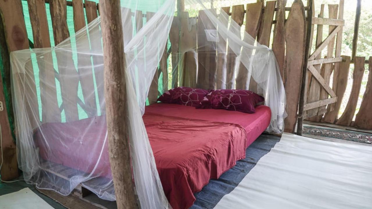 Miguel Surf Camp Hotel Quepos Ngoại thất bức ảnh