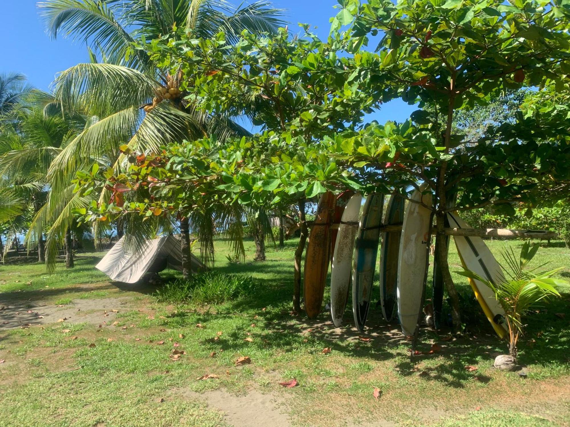 Miguel Surf Camp Hotel Quepos Ngoại thất bức ảnh
