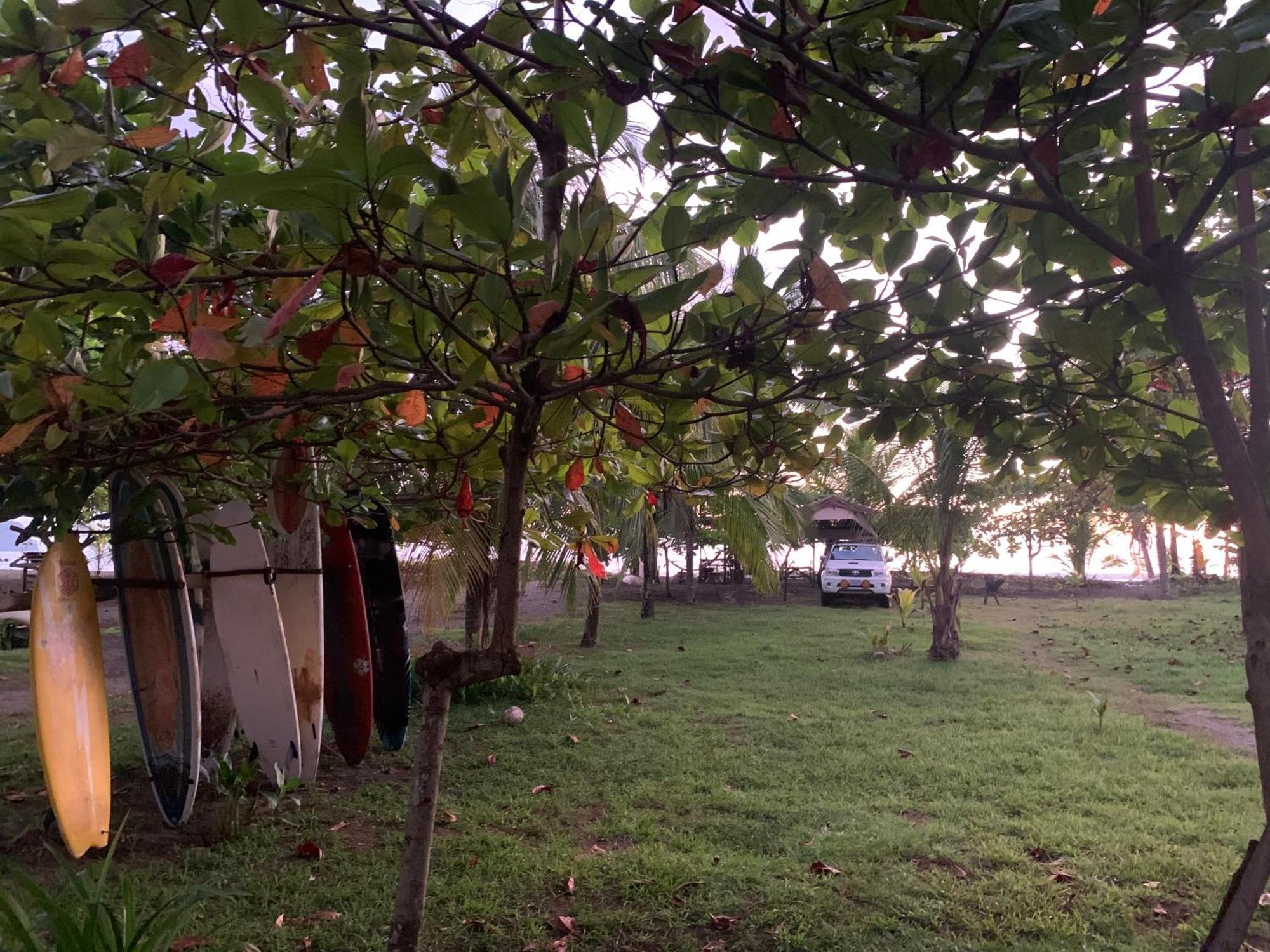 Miguel Surf Camp Hotel Quepos Ngoại thất bức ảnh