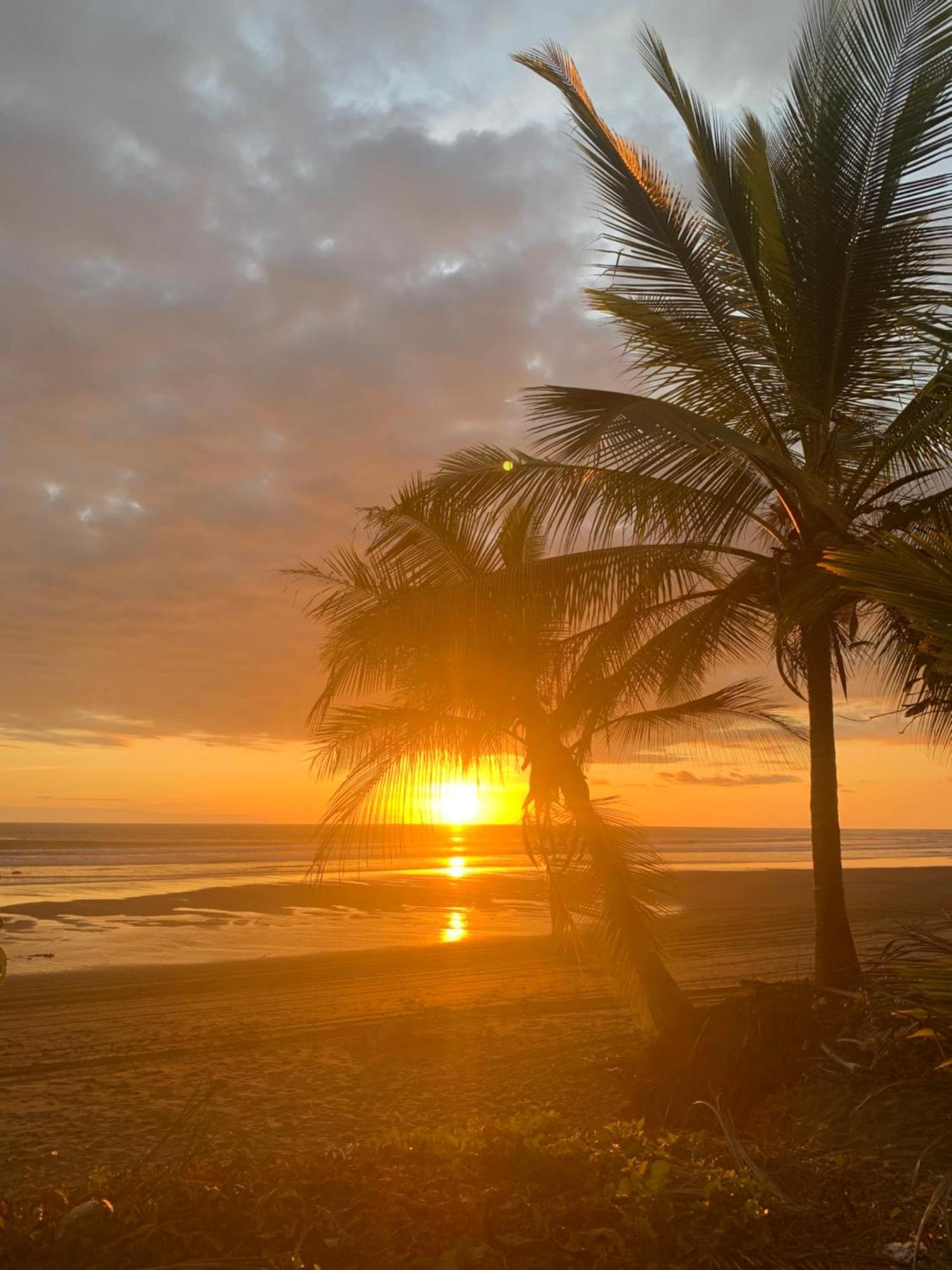 Miguel Surf Camp Hotel Quepos Ngoại thất bức ảnh