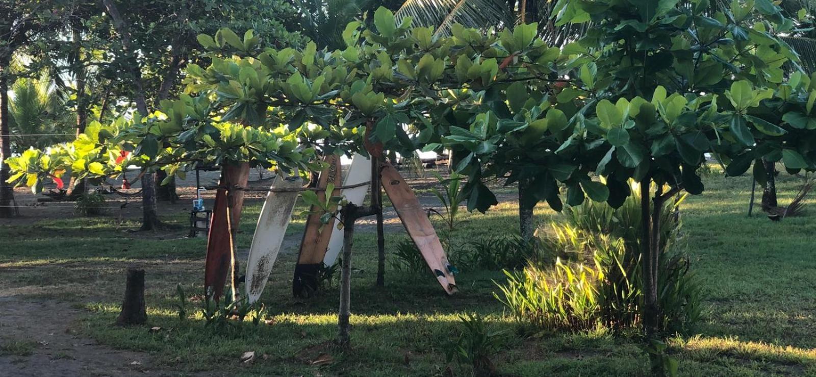 Miguel Surf Camp Hotel Quepos Ngoại thất bức ảnh