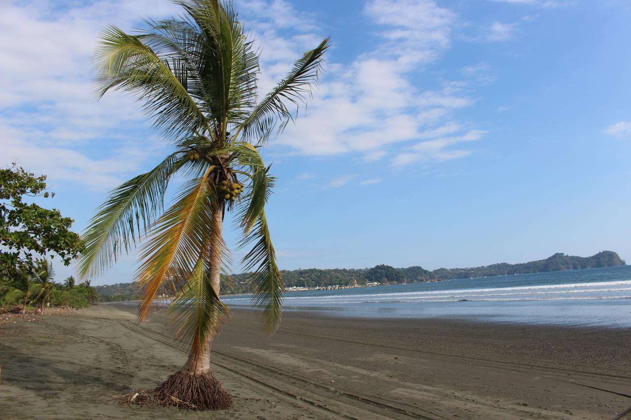 Miguel Surf Camp Hotel Quepos Ngoại thất bức ảnh