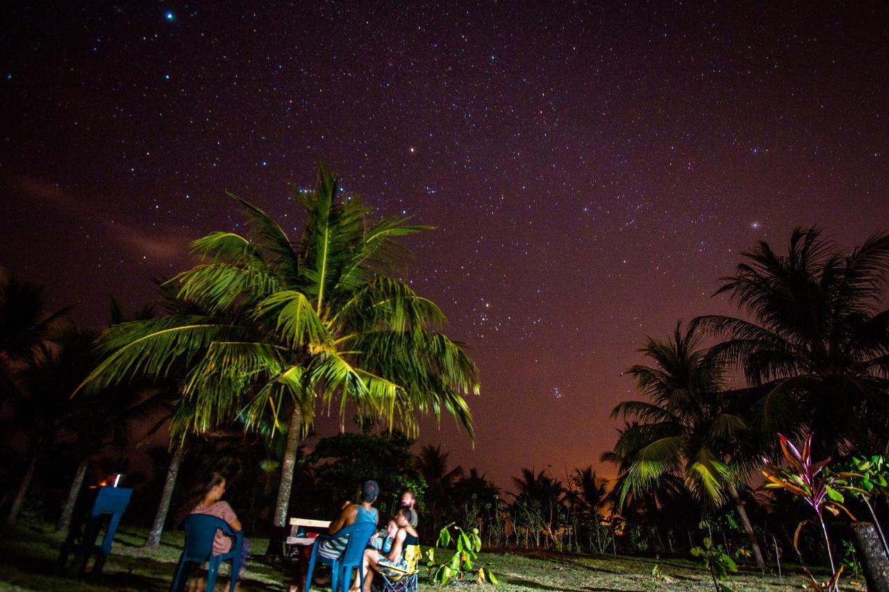 Miguel Surf Camp Hotel Quepos Ngoại thất bức ảnh