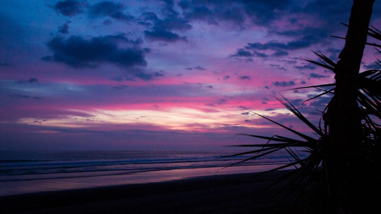 Miguel Surf Camp Hotel Quepos Ngoại thất bức ảnh