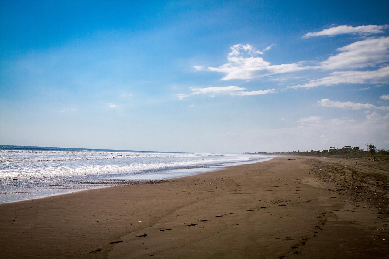 Miguel Surf Camp Hotel Quepos Ngoại thất bức ảnh